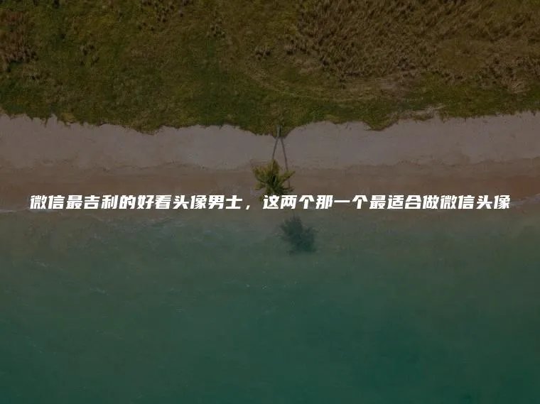 微信最吉利的好看头像男士，这两个那一个最适合做微信头像