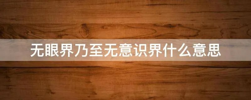 无眼界乃至无意识界什么意思
