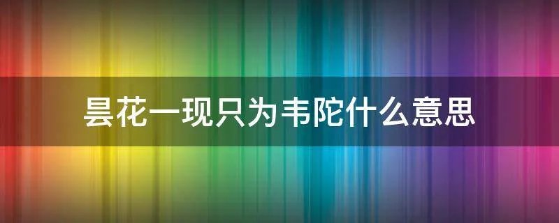 昙花一现只为韦陀什么意思