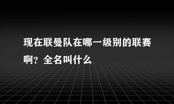 现在联曼队在哪一级别的联赛啊？全名叫什么