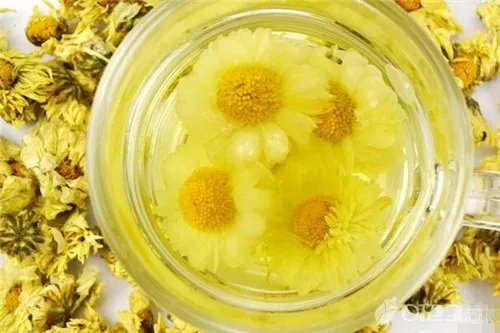孕妇能喝菊花茶吗?