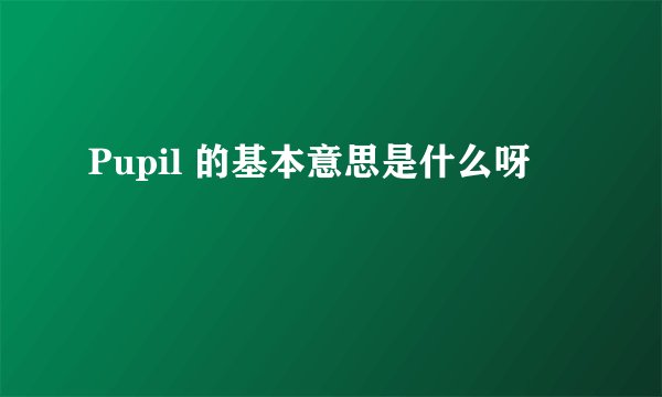Pupil 的基本意思是什么呀