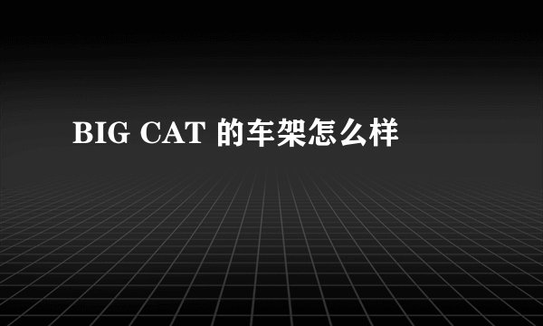 BIG CAT 的车架怎么样