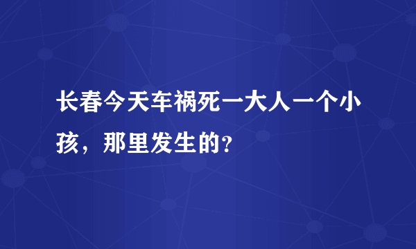 长春今天车祸死一大人一个小孩，那里发生的？