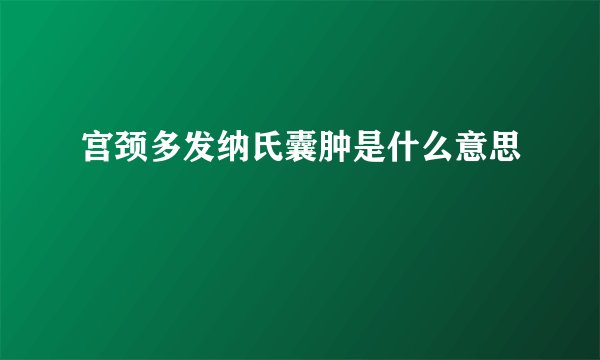 宫颈多发纳氏囊肿是什么意思