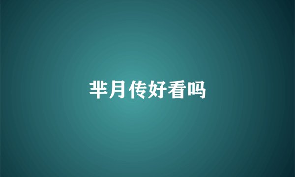 芈月传好看吗