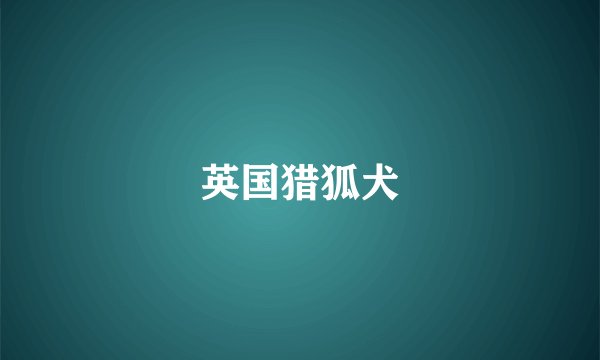 英国猎狐犬