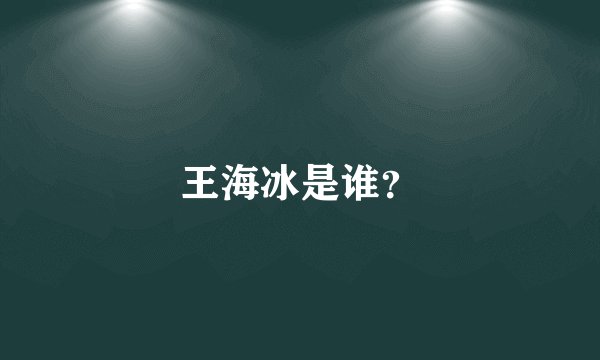 王海冰是谁？