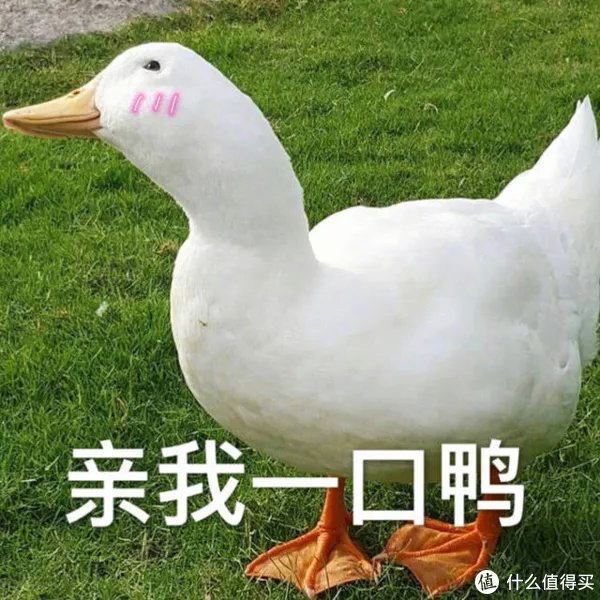 扫地机器人评测 | 最好的居然是两年前的旧款？
