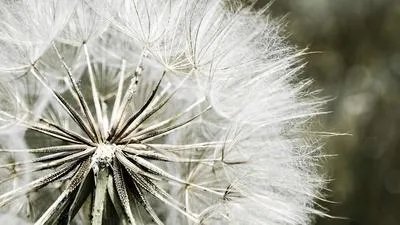 白癫风有什么症状表现呢 4种方法可预防白癜风