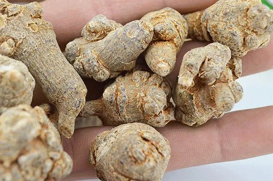 三七无剪口和有剪口的区别