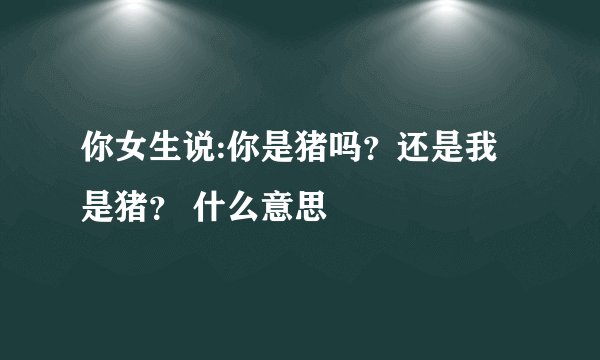 你女生说:你是猪吗？还是我是猪？ 什么意思
