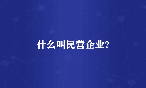 什么叫民营企业?