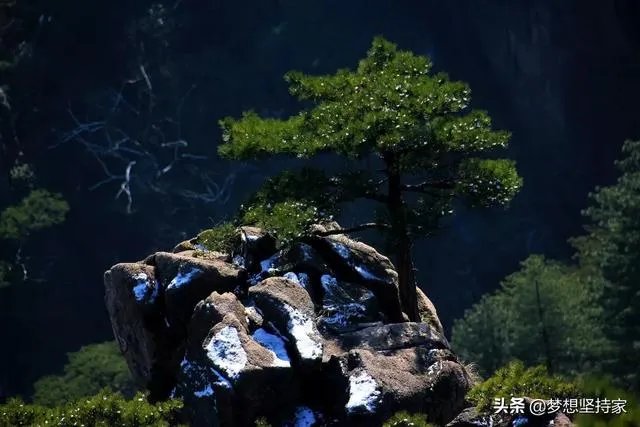 黄山三日游旅游攻略。尽量详细一些，谢谢？