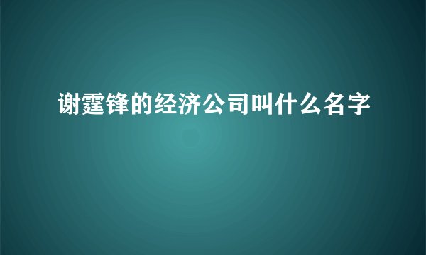 谢霆锋的经济公司叫什么名字