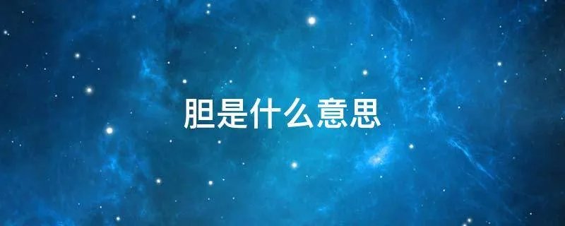胆是什么意思