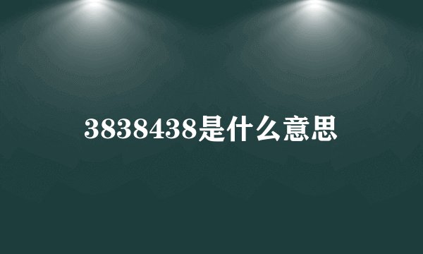 3838438是什么意思