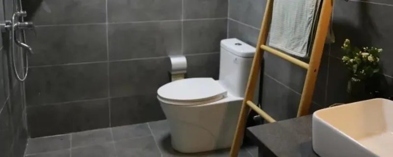 卫生间用什么瓷砖