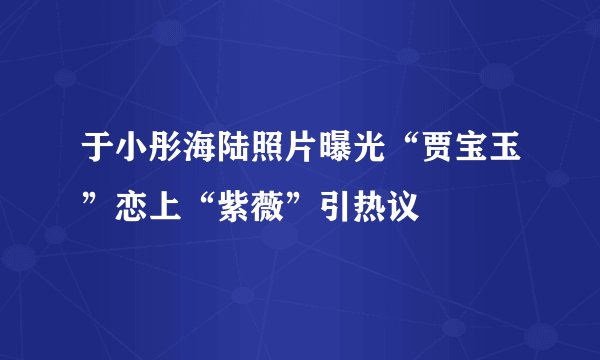 于小彤海陆照片曝光“贾宝玉”恋上“紫薇”引热议