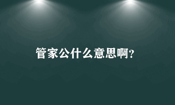 管家公什么意思啊？