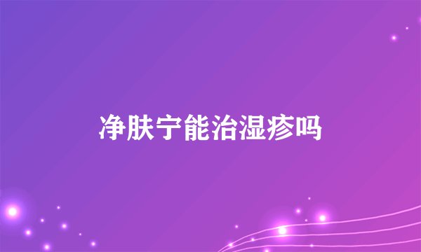净肤宁能治湿疹吗