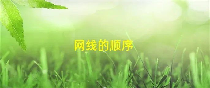 网线的顺序