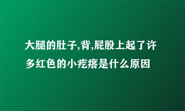 大腿的肚子,背,屁股上起了许多红色的小疙瘩是什么原因