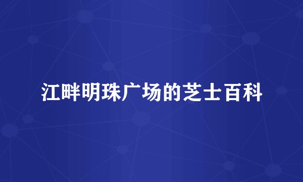 江畔明珠广场的芝士百科