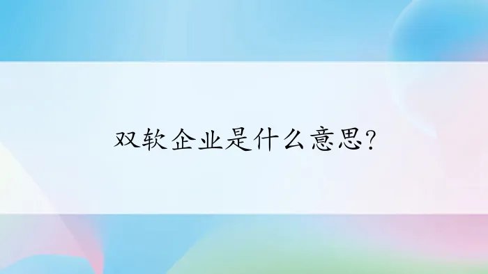 双软企业是什么意思？