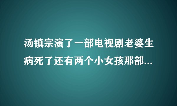汤镇宗演了一部电视剧老婆生病死了还有两个小女孩那部电视剧叫什么名字？