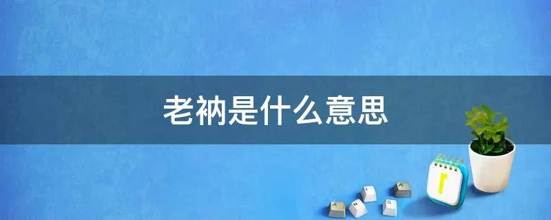 老衲是什么意思