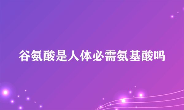 谷氨酸是人体必需氨基酸吗