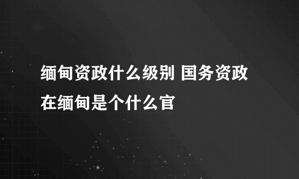 缅甸资政什么级别 国务资政在缅甸是个什么官