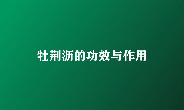 牡荆沥的功效与作用