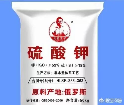 硫酸钾肥料为何价格更高，做麦田底肥合适吗？