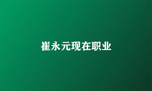 崔永元现在职业