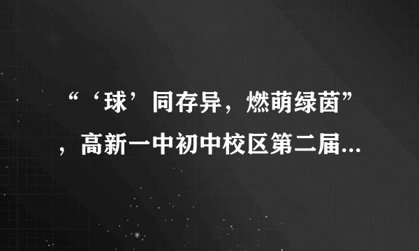 “‘球’同存异,燃萌绿茵”,高新一中初中校区第二届足球赛开赛了,下列与踢球有关的说法正确的是( )A.踢球时,球踢出去了而人未被弹开,是因为脚对球施的力大于球对脚的力B.只要脚对球施加的力大小相同,其作用效果一定相同C.踢出去的球在空中运动的过程中,没有受到任何力的作用D.守门员开门球时,静止在小禁区线上的足球所受的重力与草地对足球的支持力是一对平衡力