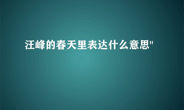 汪峰的春天里表达什么意思
