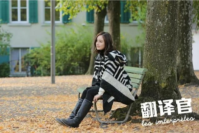 如何评价《亲爱的翻译官》这部电视剧?