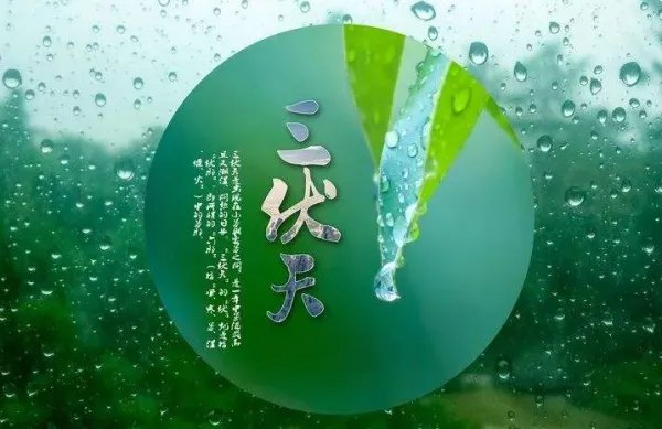 入伏吃什么?