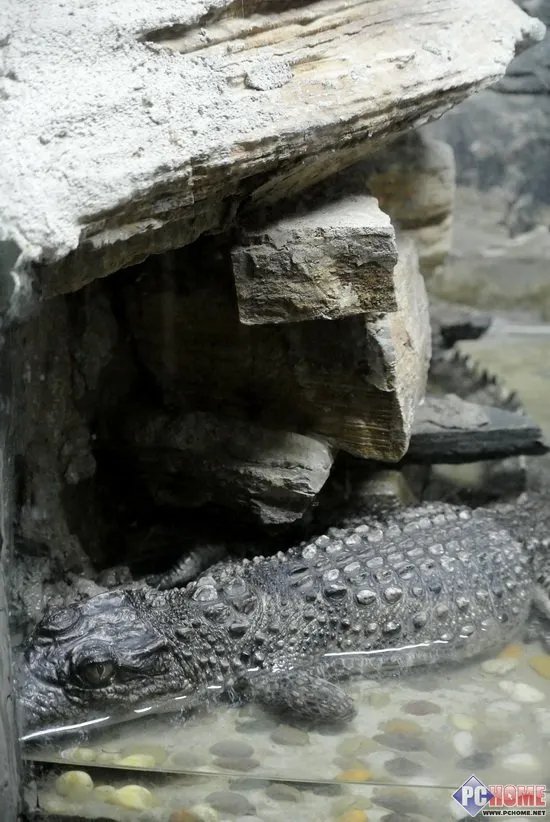 进入昆虫馆室内 提升ISO感光度800至1600