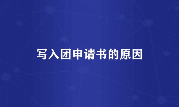 写入团申请书的原因