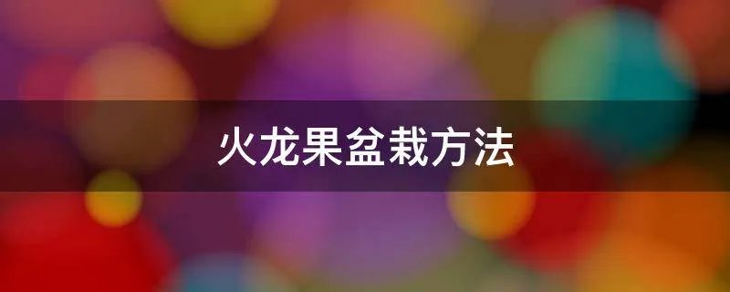 火龙果盆栽方法