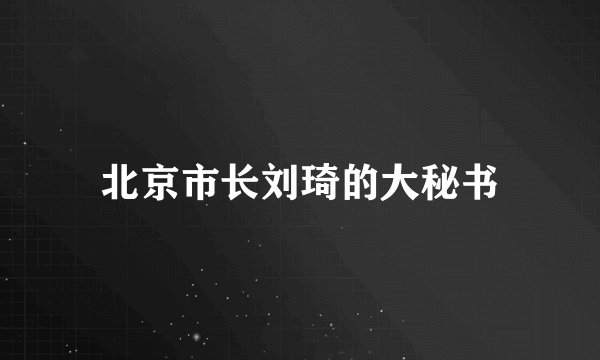 北京市长刘琦的大秘书