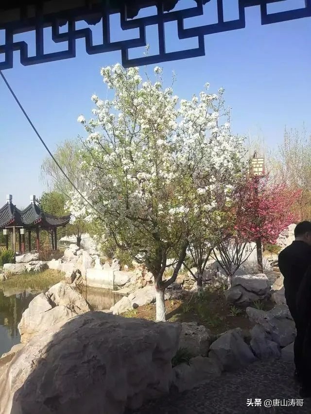 唐山是哪个省的？