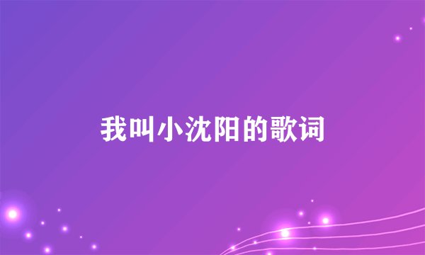 我叫小沈阳的歌词