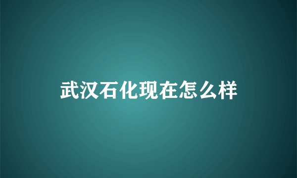 武汉石化现在怎么样