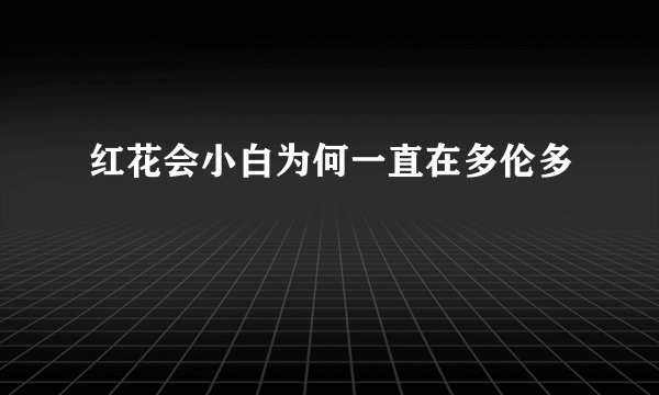 红花会小白为何一直在多伦多