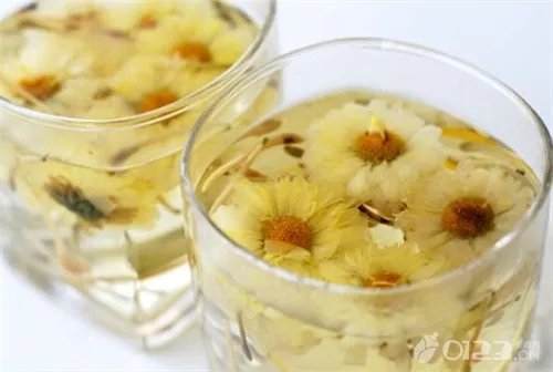 孕妇能喝菊花茶吗?