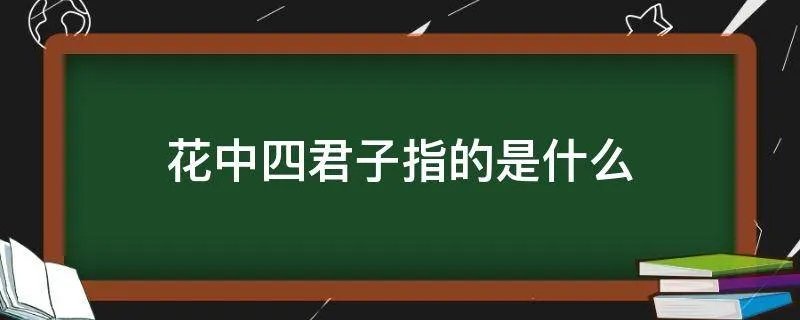 花中四君子指的是什么